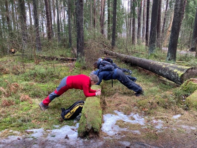 Gruppträning utomhus, personer tränar i planka mot en stock i skogen