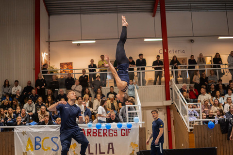 En bild